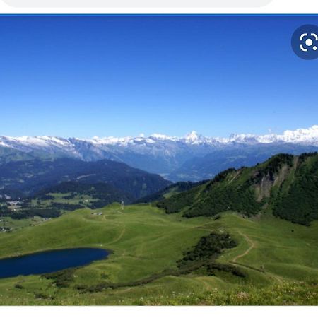 Studio Cabine Praz De Lys Taninges Exterior foto